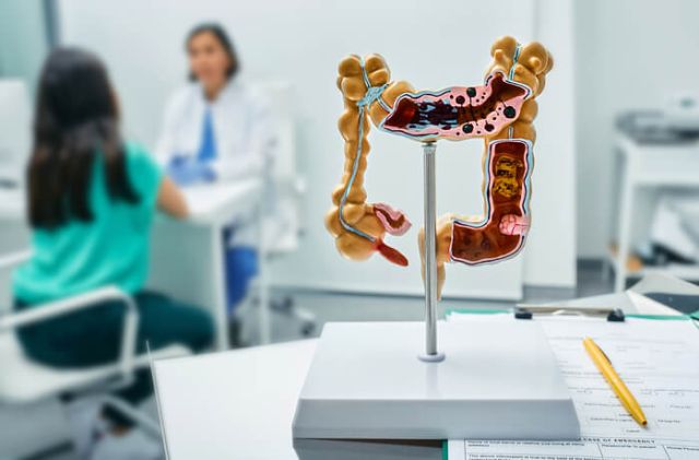 gastroenterology-consultation-anatomical-intestin-2025-04-01-20-38-54-utc (1) (1)